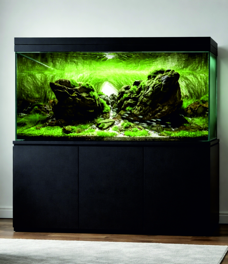 Akvaarioiden perustaminen ja hoito