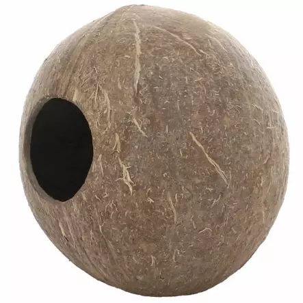 Kookosluola Kokonainen 12X13X13Cm - Kivijäljitelmät ja luolat akvaarioon - D40220 - 2