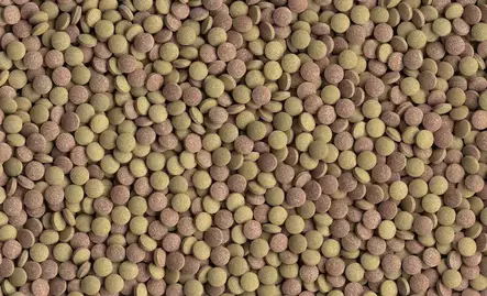 Tetra Tablets Tabimin 275Tablettia - Pohjatabletit kaloille - T75781 - 2