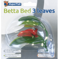 Kolme lehtinen Betta Bed kelluvilla lehdillä tarjoaa taistelukaloille luonnollisen lepopaikan ja lisää akvaarion esteettistä viehätysvoimaa.